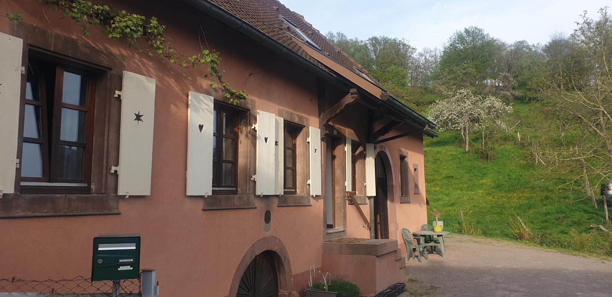 Ferienwohnung La Fermette Vosgienne De La Goutte Steige Exterior foto